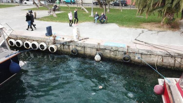 İstanbul Boğazı'nda şaşırtan manzara! Yüzlercesi istila etti