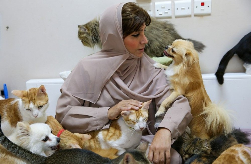 Evinde 480 kedi ve 12 köpek besliyor