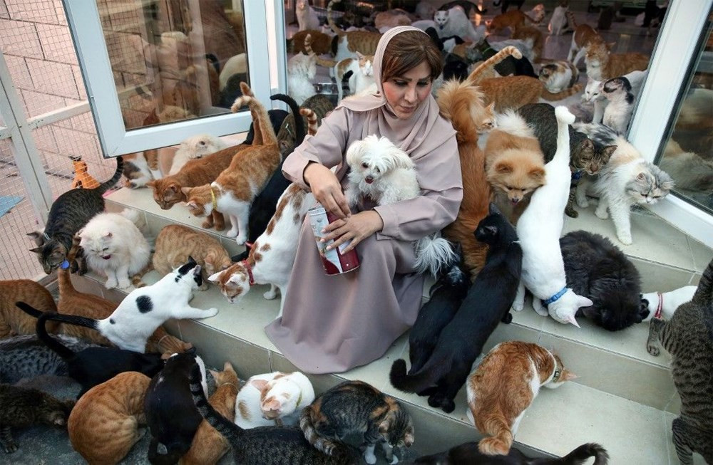 Evinde 480 kedi ve 12 köpek besliyor