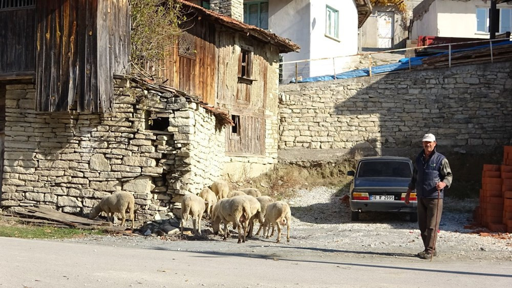 Köyün yarısı korona oldu, kimse ölmedi