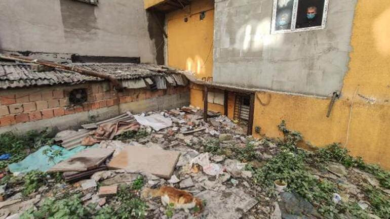 İstanbul'da vahşet! 7 kedi parçalanmış halde bulundu
