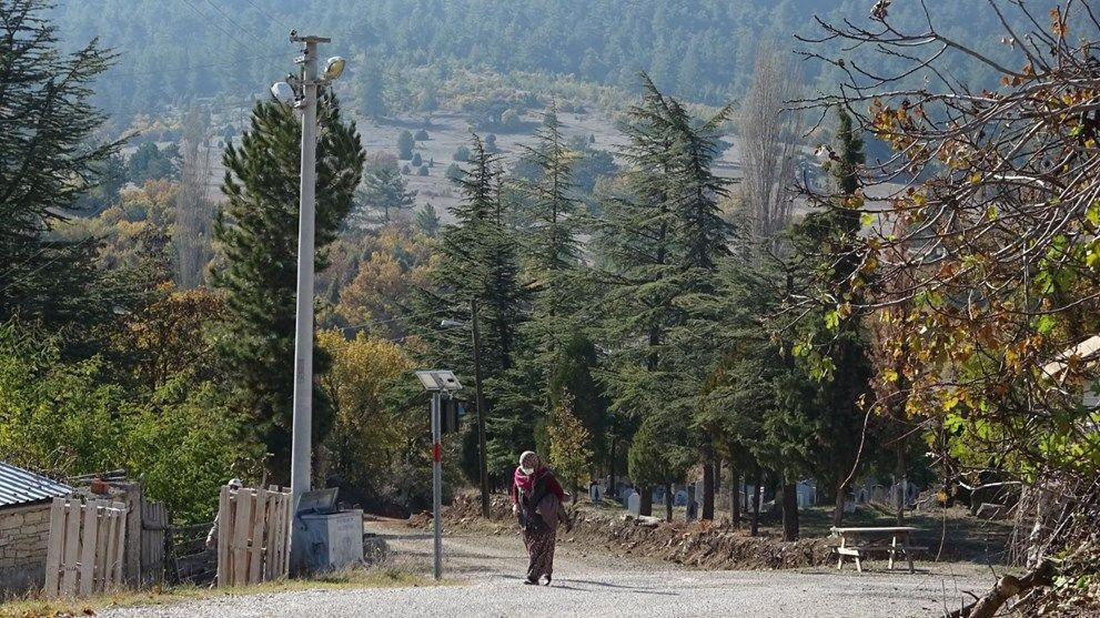 Köyün yarısı koronavirüse yakalandı, kimse vefat etmedi