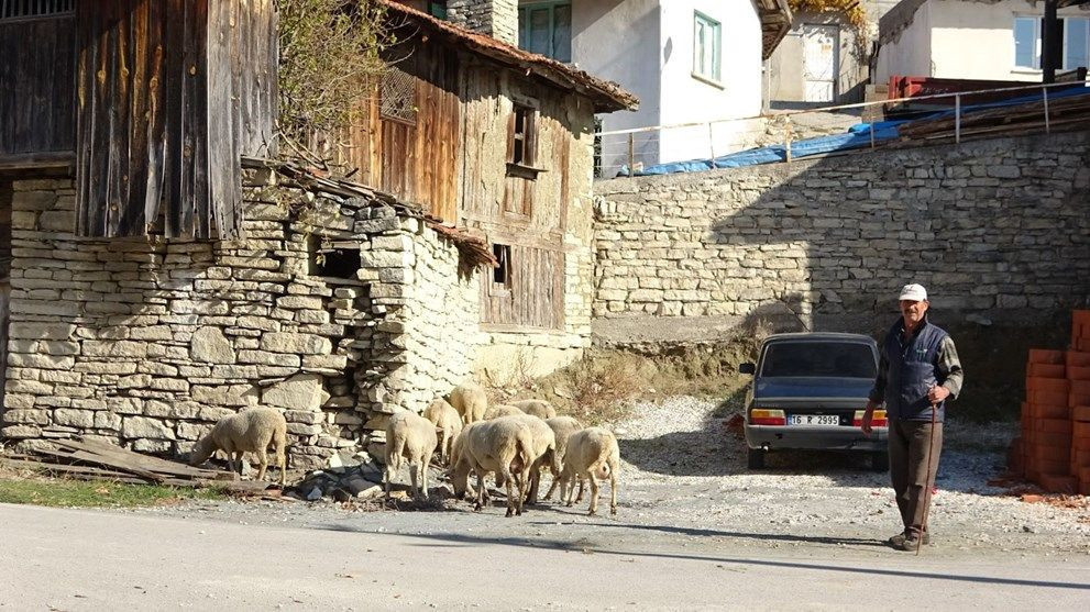Köyün yarısı koronavirüse yakalandı, kimse vefat etmedi