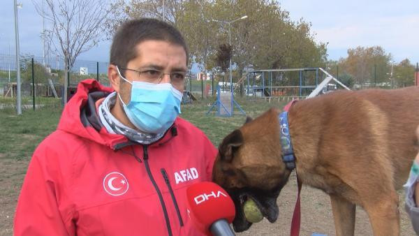 Afetlerin kahramanı köpekler nasıl eğitiliyor?