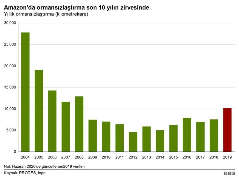 Amazonlar'daki orman kaybı son 12 yılın en yüksek düzeyinde