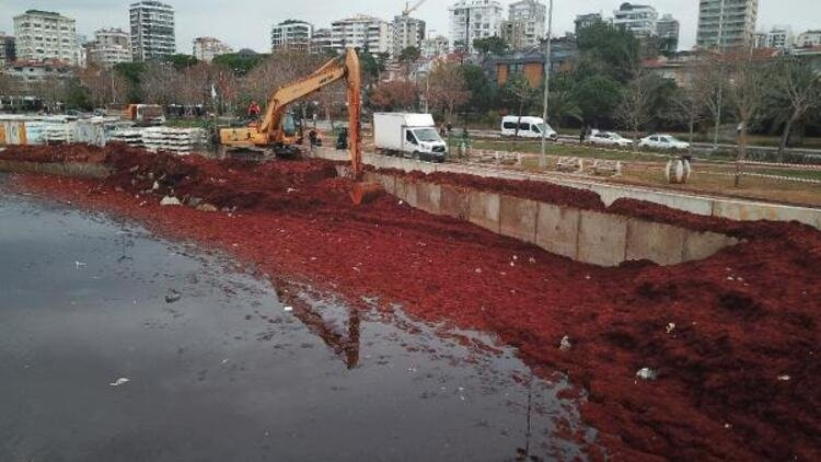 İstanbul'da korkutan görüntü! Sahil kızıla boyandı