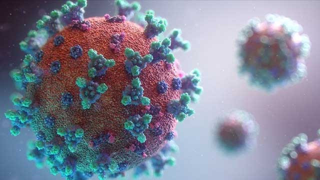 Bir ülkede daha yeni koronavirüs türü keşfedildi