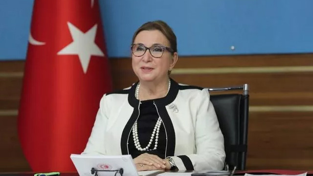 Bakan Pekcan: Yepyeni bir dönem başlıyor