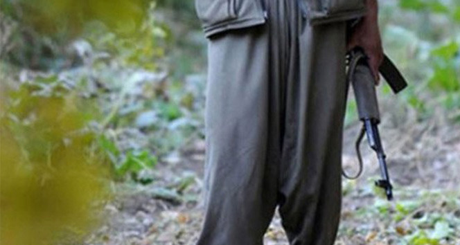 İki PKK'lı terörist daha teslim oldu