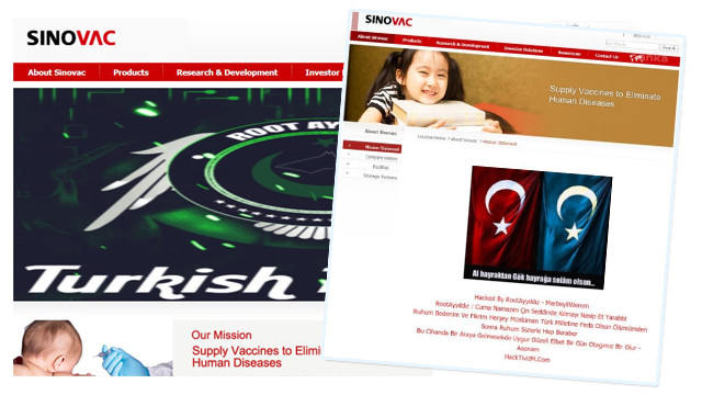 Türk bilgisayar korsanları Sinovac'in sitesini çökerti!