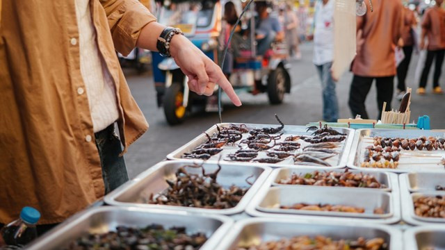 Bilim insanları açıkladı! Yeni salgınlar getirebilir