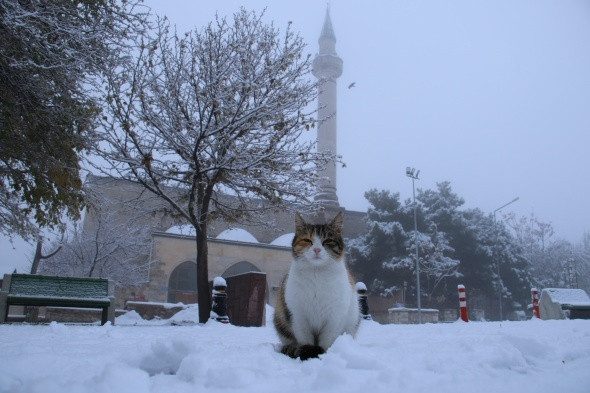 Elazığ'a mevsimin ilk karı yağdı - Resim: 3