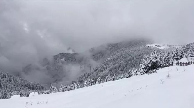 Meteoroloji'den kritik uyarı ! Çığ, buzlanma ve don...