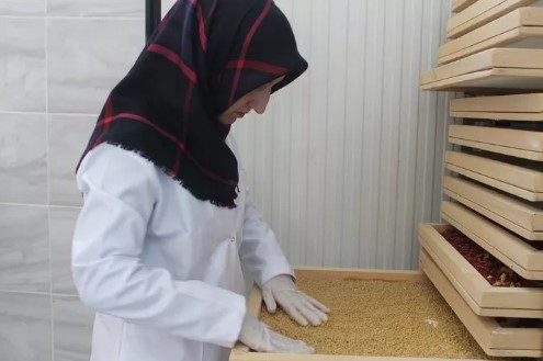Tek amacı çocuklarına sebze yedirmekti... Girişimci oldu ! - Resim: 4