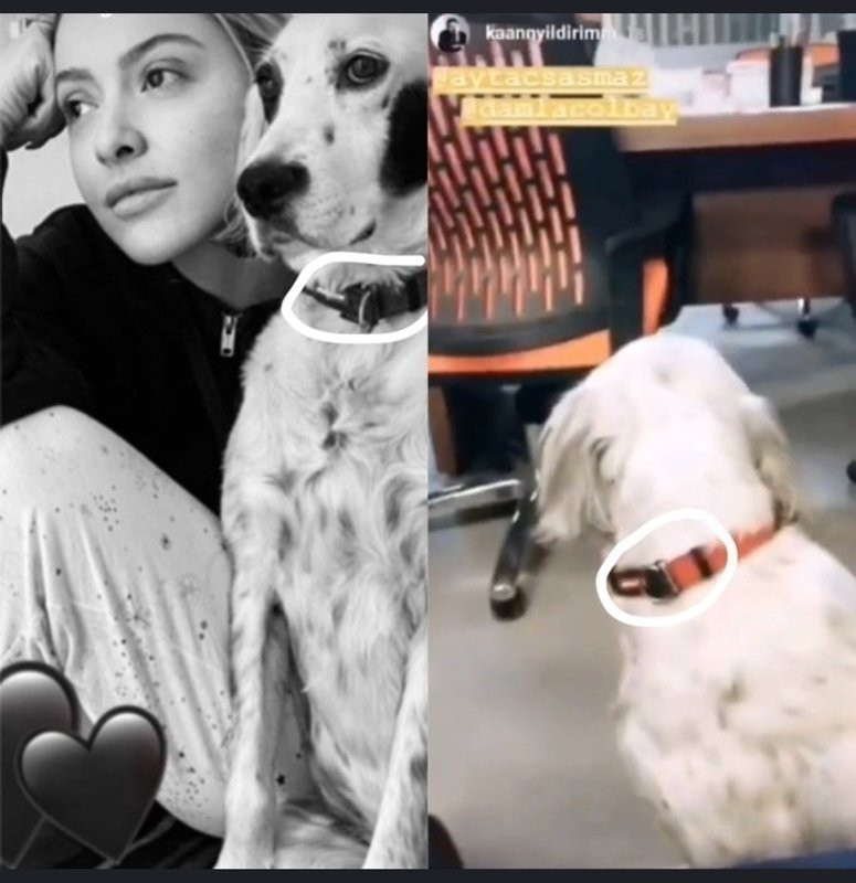 Hadise ve Kaan Yıldırım aşk karantinasında