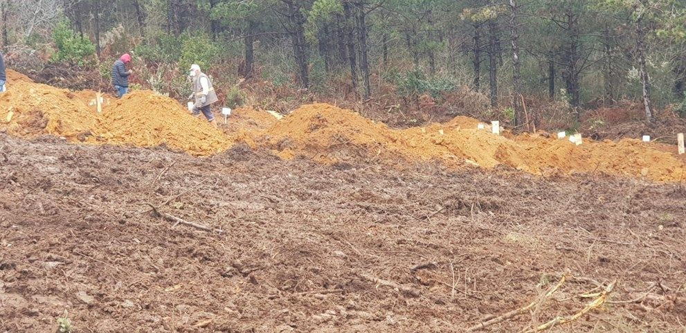 Beykoz'da ''koronavirüs mezarlığı'' tartışması