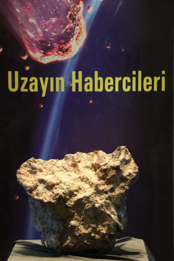Tarlada buldu, müzede sergilendi, şimdi satıyor!