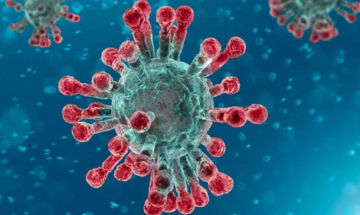 Bilim insanları 6 yeni koronavirüs türü keşfetti