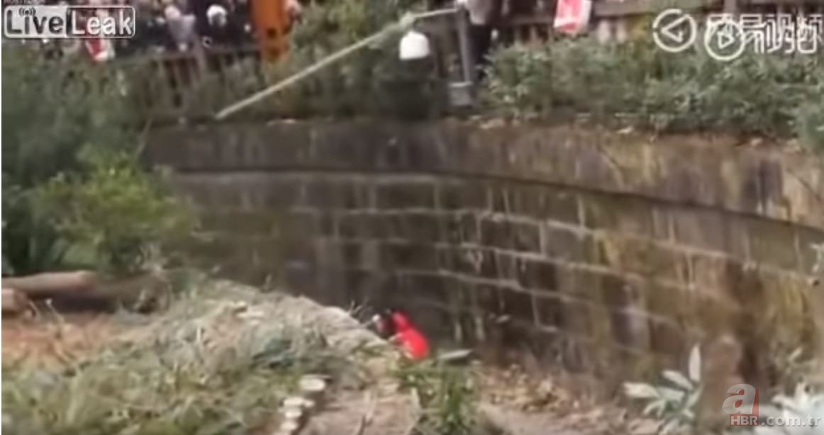 Hayvanat bahçesinde kan donduran anlar!
