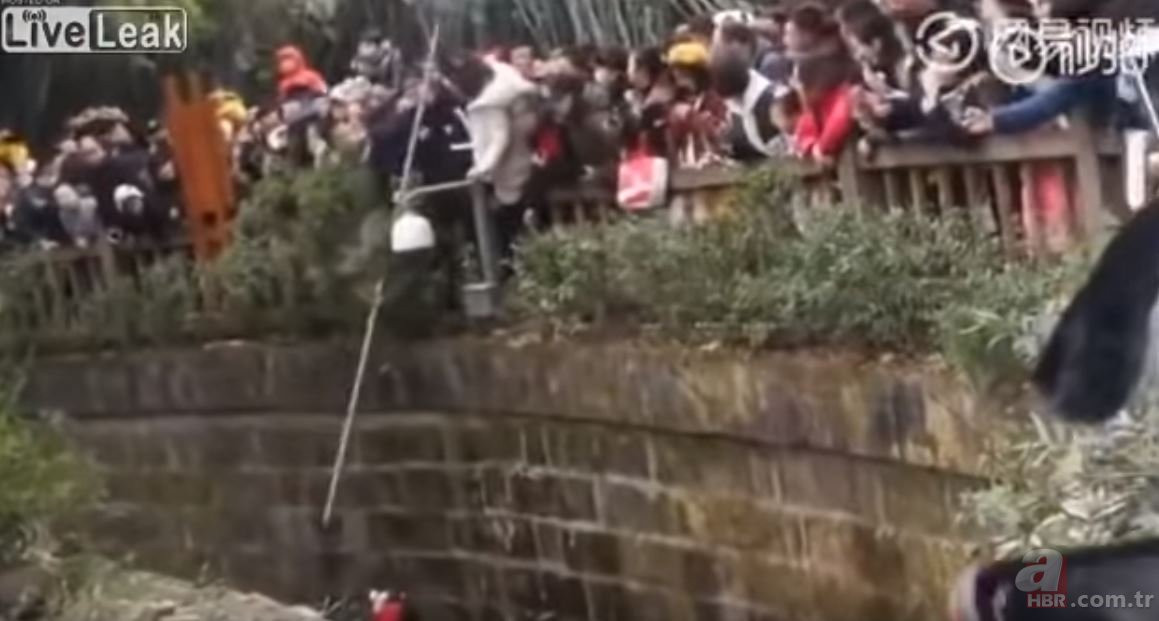 Hayvanat bahçesinde kan donduran anlar!