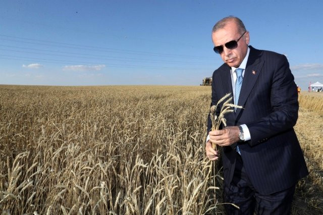 Erdoğan tohum talebini çözüme kavuşturdu