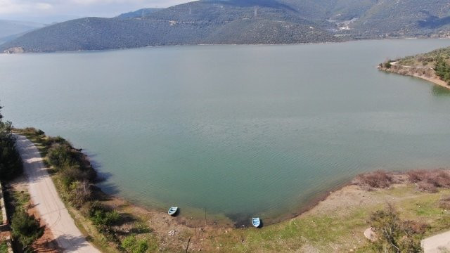 Dünyanın en kısa IQ testi