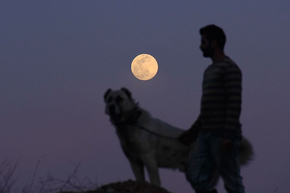 Türkiye ve dünyadan muhteşem Süper Ay manzaraları