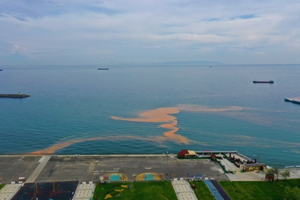 Marmara Denizi'nde korkutan görüntü