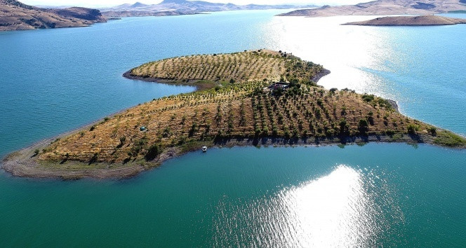Türkiye'nin Robinson Coruse'sinin adası emin ellerde