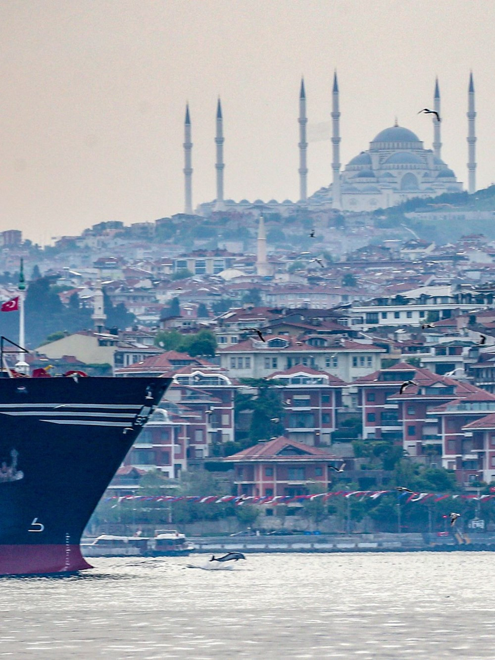 İstanbul Boğazı yunuslara kaldı