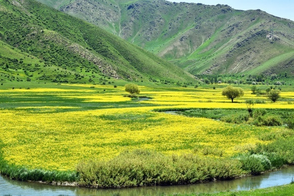 Bu fotoğraflar Türkiye'de çekildi!