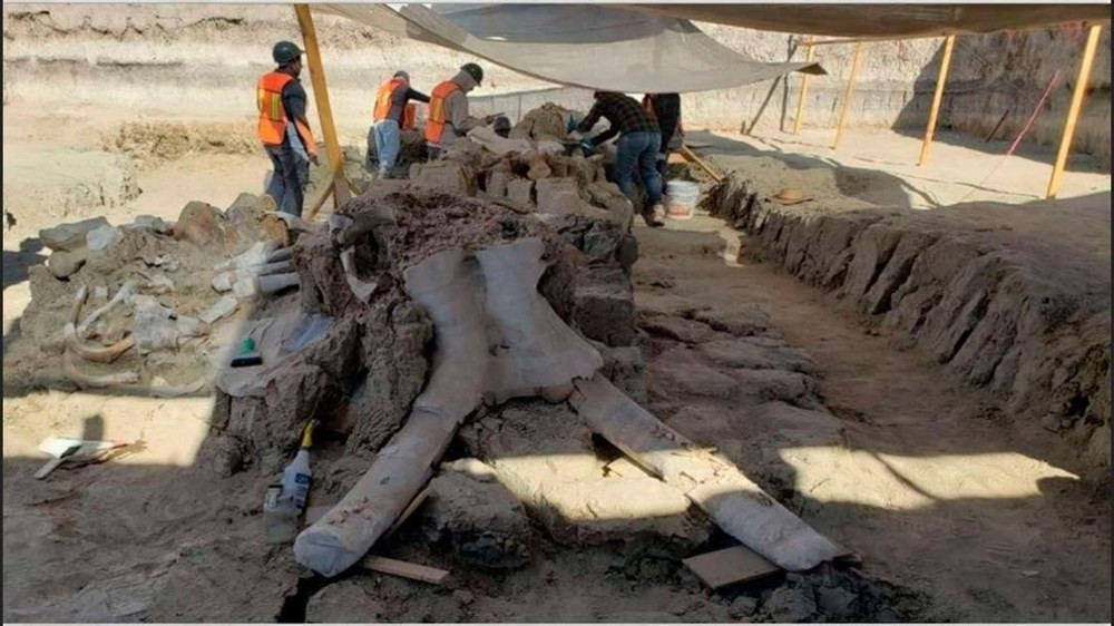 Havalimanı inşaatında 15 bin yıllık mamut kemikleri bulundu