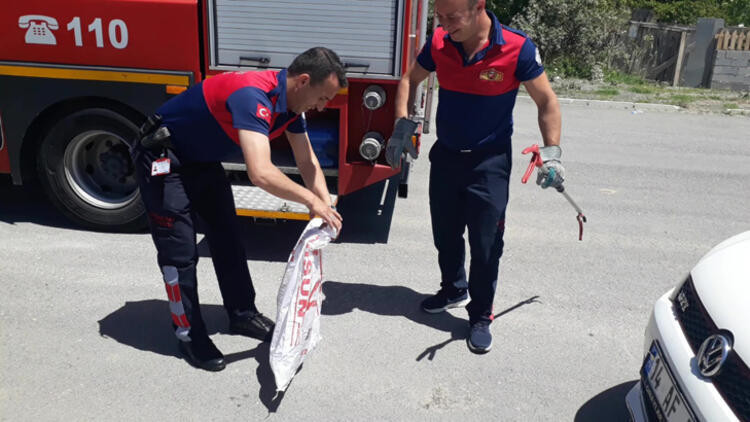 Parkta görülen yılan panik yarattı