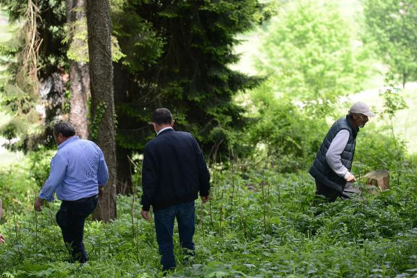 Sosyal medya ayağa kalkmıştı, Trabzon'da 'gök taşı' avı!