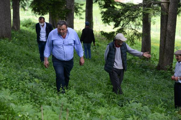 Sosyal medya ayağa kalkmıştı, Trabzon'da 'gök taşı' avı!