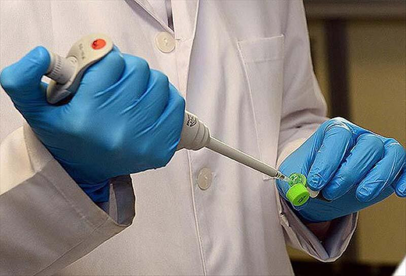 Yeni koronavirüs araştırması: ''Antikor üretimi sağlıyor''