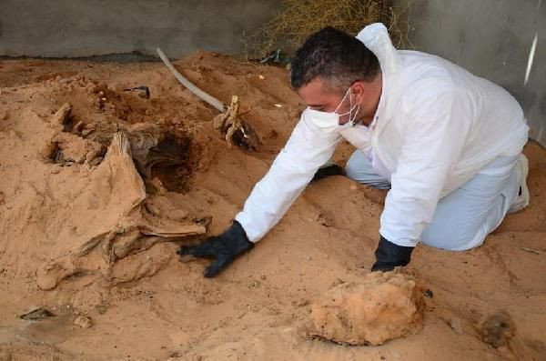 Libya’daki Essaidiye bölgesinde toplu mezar bulundu