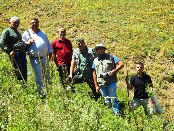 En son 150 yıl sonra görülmüştü...