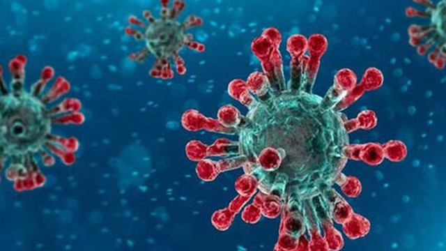 Uzmanlardan sevindirici haber: Virüs zayıflıyor olabilir