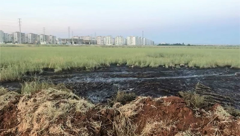 Tarım arazilerine 5 ton kimyasal atık dökenler suçüstü yakalandı!