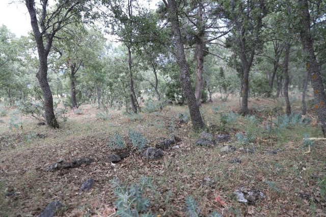 Yunanlıların yakarak katlettiği 83 Türk'ün mezarları bulundu