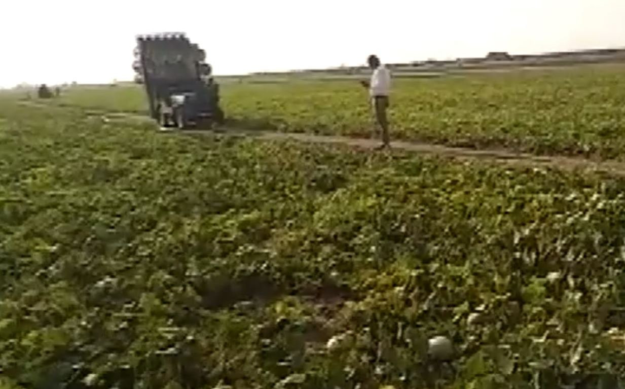 Bu icat sosyal medyayı salladı