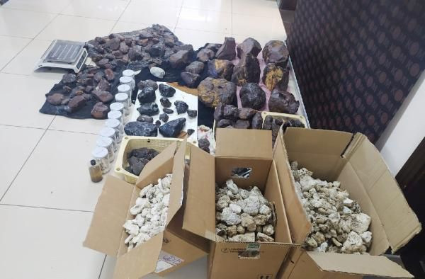 Mersin'de 145 kilo gram balina kusmuğu ele geçirildi