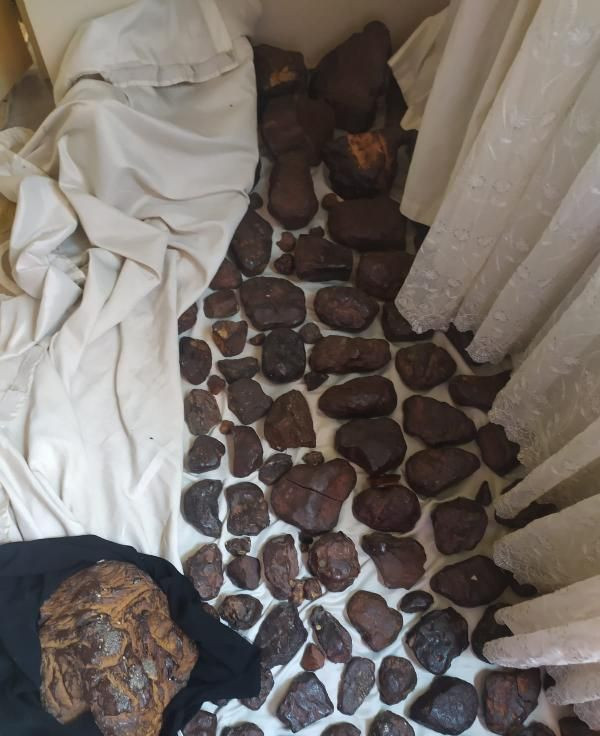 Mersin'de 145 kilo gram balina kusmuğu ele geçirildi