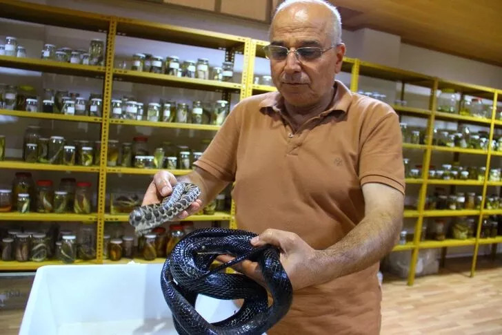 Üniversite profesörünün sürüngen tutkusu! Koleksiyonunda 150 tür var!