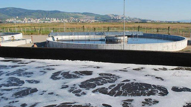 Foça'da denize kirli su bırakan arıtma tesisine tepki