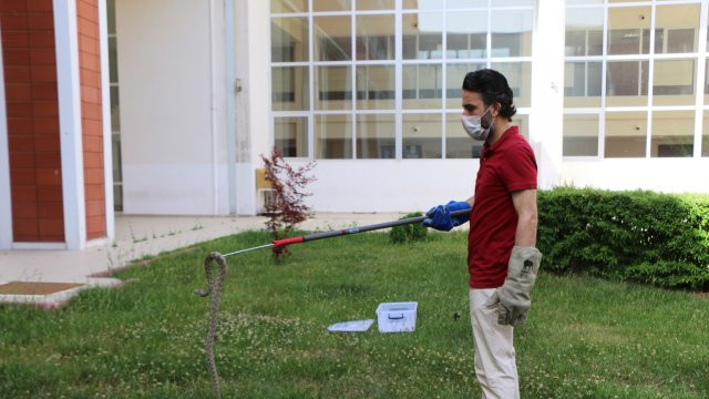 Uzmanlar uyardı: '' 5-10 dakika içinde öldürüyor''