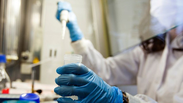 ABD'yi milyonlarca mutant sivrisinek istila edecek