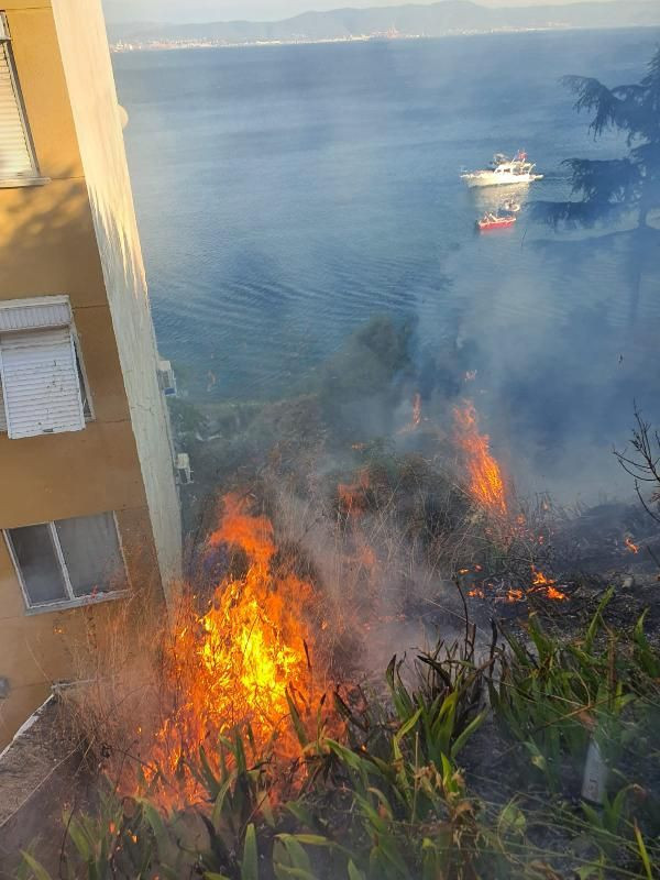 Gemlik'te yangın paniği