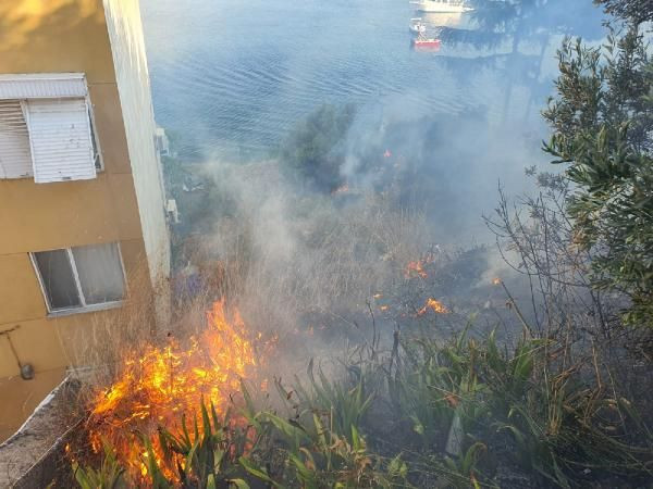 Gemlik'te yangın paniği